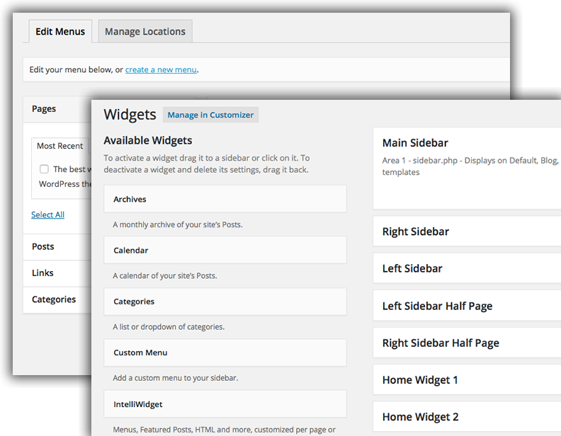 WordPress panels for setting up Menus and Widgets.
